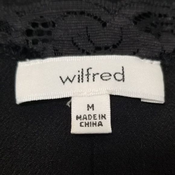 Wilfred Aritzia Black Lace Slip Leibnez Dress - Picture 6 of 7